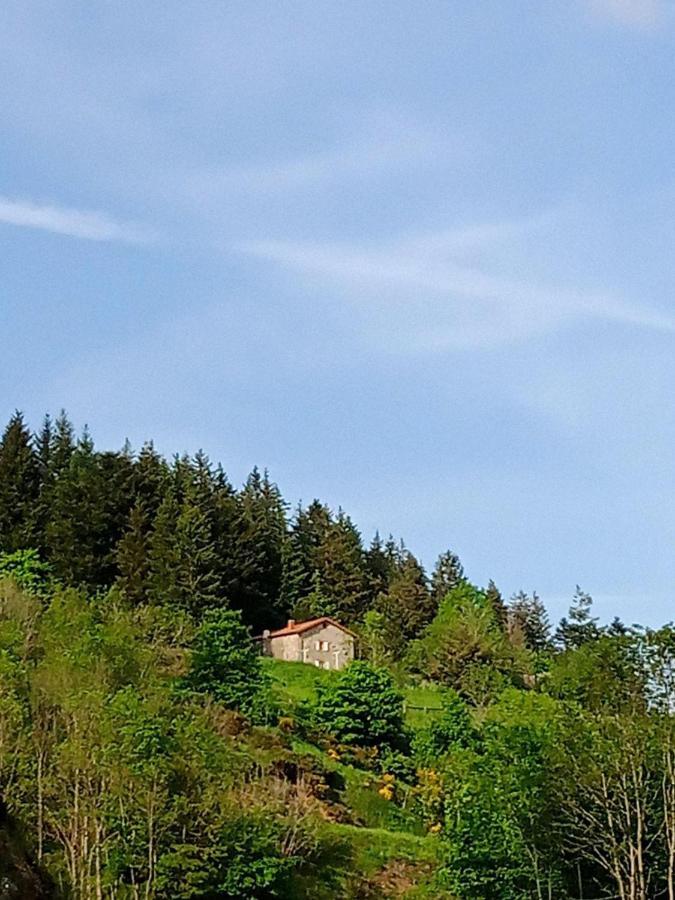 Ancienne Petite Ferme Renovee Villa Saint-Regis-du-Coin Dış mekan fotoğraf